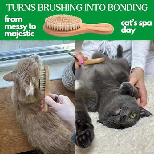 GranNaturals Boar Bristle Soft Cat Brush for Indoor, Outdoor, Short Haired Cats, Kittens, Small Dog, Rabbit, Furry Pets - ...