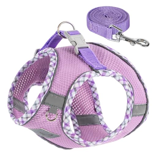 TomteNisse Dog Harness and Leash Set - No Pull Soft Breathable Small Dog Harness, Adjustable Reflective Step in Vest for P...