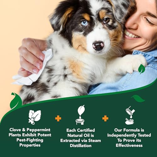 Vet’s Best Natural Flea and Tick Wipes for Dogs, Plant-Based Wipes for Flea and Tick Prevention Certified Essential Oils, ...