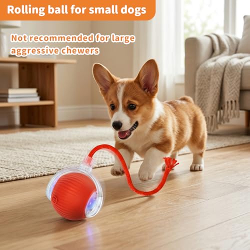 MAXTOOA Interactive Cat Toys for Indoor Cats Smart Automatic Ball Rolling for Bored Kitten Pet Upgraded Speedy Moving Chas...