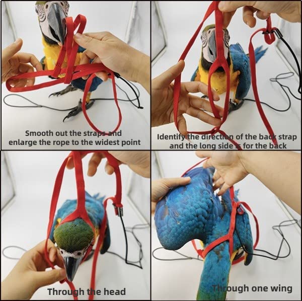 Adjustable Bird Harness with 78.7 Inch Leash, Outdoor Flying Training Rope Kit for Bird Parrots, Parrot Flying Rope Straps...