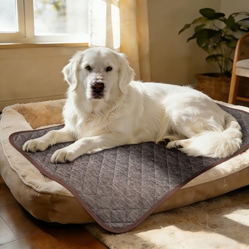 CHVOULTO Cooling Mat for Dogs: Waterproof Pet Cooling Mat for Crate Kennel, Summer Indoor Dog Cooling Pad for Floor and So...