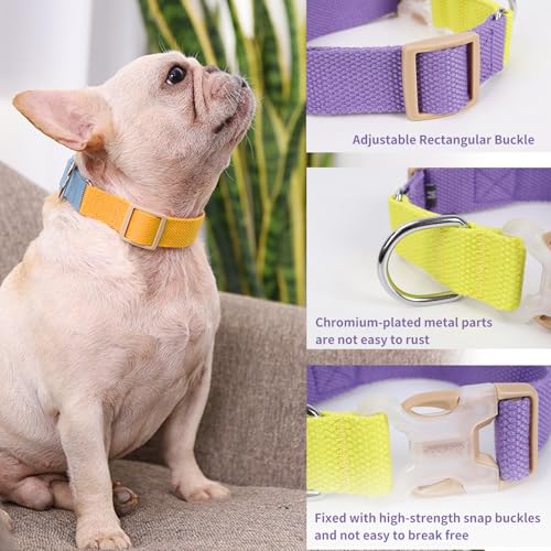 No Pull Dog Harness and Leash Set, Dog Collar, Step in Dog Halter Harness with Poop Bag Holder, Adjustable Lightweight Cot...
