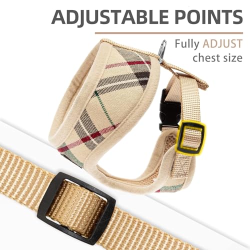 PUPTECK Soft Mesh Dog Harness Small Sized and Leash Set Pet Puppy Cat Comfort Padded Vest No Pull Harnesses, Beige, S