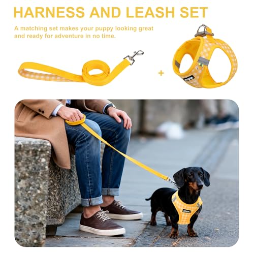 AIITLE No Pull Dog Harness and Leash Set, Step in No Chock Soft Mesh Dog Harnesses Reflective for Extra-Small Puppy Dogs a...