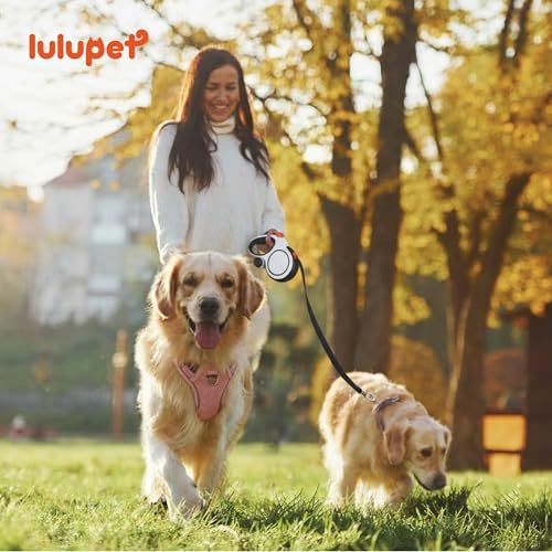 3 in 1 No Pull Dog Harness Leash and Collar Set, Soft Adjustable Dogs Vest Reflective and Comfortable Handle Pink Small