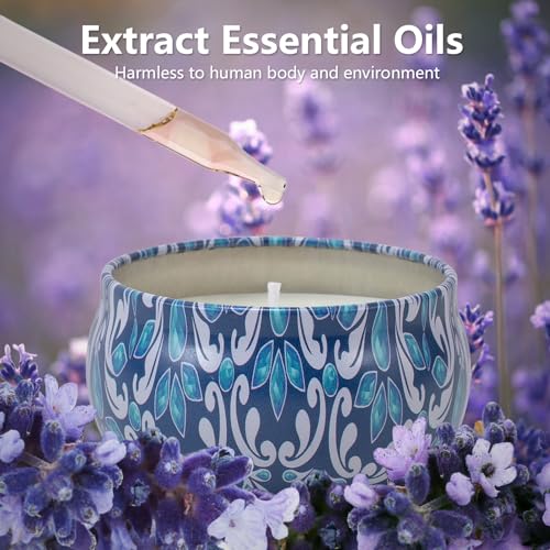 3 Pack Scented Candles Gift, 2.5 oz Aromatherapy Candles for Home Scented, Natural Soy Candles Stress Relief Gift for Wome...