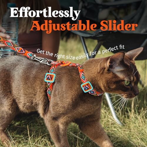 Dooradar Cat Harness and Leash, Escape Proof Adjustable Kitten Vest, Lightweight Soft Pet Straps, Easy Wearing for Small M...