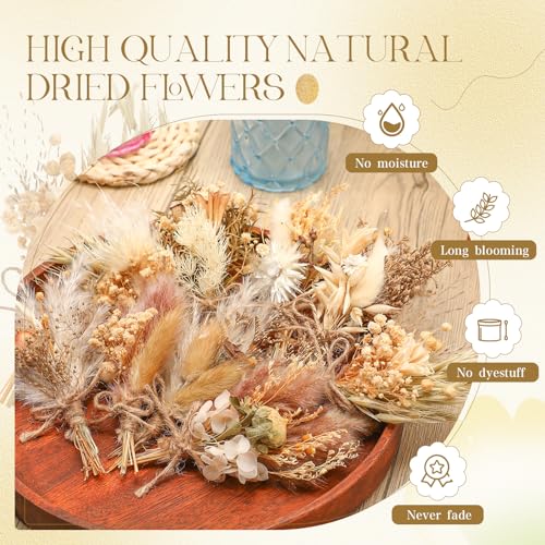 Layhit 12 Pack Boho Dried Flower Bouquet Mini Wedding Handmade Dry Flowers Decor for Vase Crafts DIY Photo Boutonniere for...