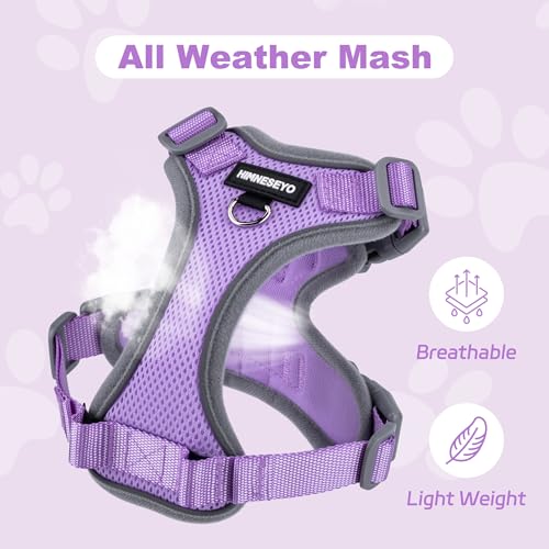 HIMNESEYO Small Dog Harness and Leash Set，No Pull Adjustable Pet Harness for Small Dogs ，Breathable Mesh Reflective Dog Ve...