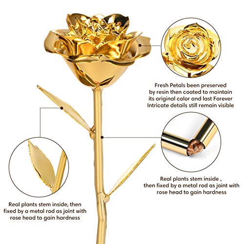 Anthonic Gold Dipped Rose Real 24K Gold Rose, Genuine One of a Kind Rose Hand Dipped in 24K Golden Roses Romantic Gifts fo...