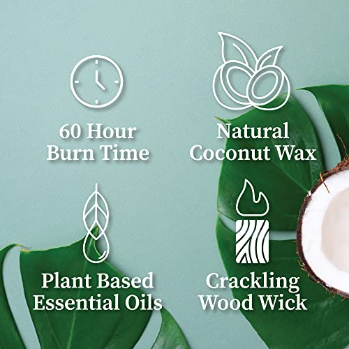 Hemlock Park Blood Orange Sage Apothecary Hand-Poured Scented Candle | Crackling Wood Wick, Botanical Fragrance & Coconut ...