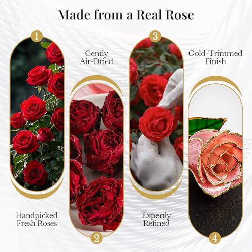 CIAPSK 24K Gold Dipped Rose Gift Set – Luxury Eternal Rose with Interlocking Acrylic Butterfly Display Base & Premium Boo...