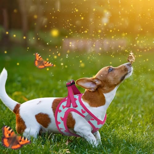 KOOLTAIL Valentines Dog Harness and Leash Set for Small Medium Dogs, Step in No Pull Soft Mesh Dog Harness Padded Pet Ves...