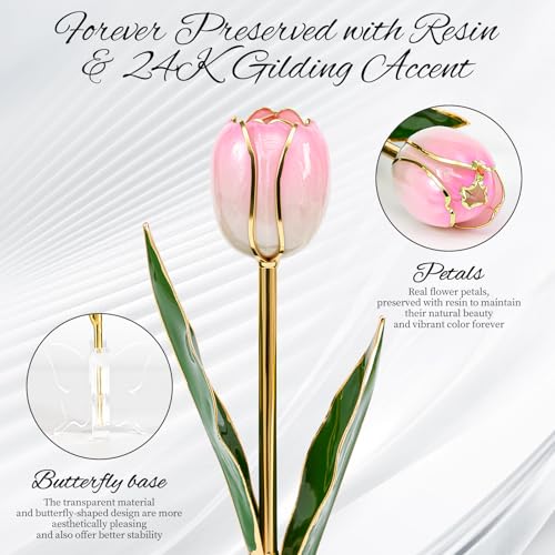 Mikasol Gold Dipped Real Tulip – Dreamy Gradient Pink, Romantic Forever Flower Gift with Book-Style Box & Butterfly Stand,...