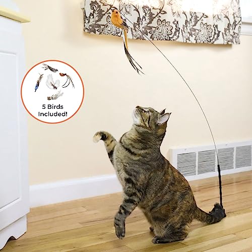 Whiskertons Interactive Bird Simulation Cat Toy Set, Interactive Cat Toys for Indoor Cats, Cat Feather Toy, Self-Holding S...