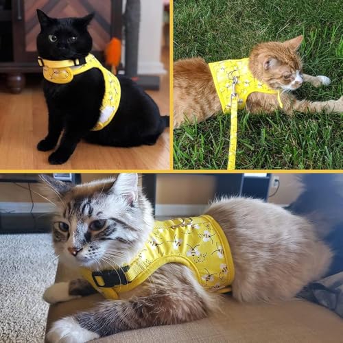 BINGPET Cat Harness with Leash and Collar for Walking - Escape Proof with 59 Inches Leash - Adjustable Soft Vest Harnesses...