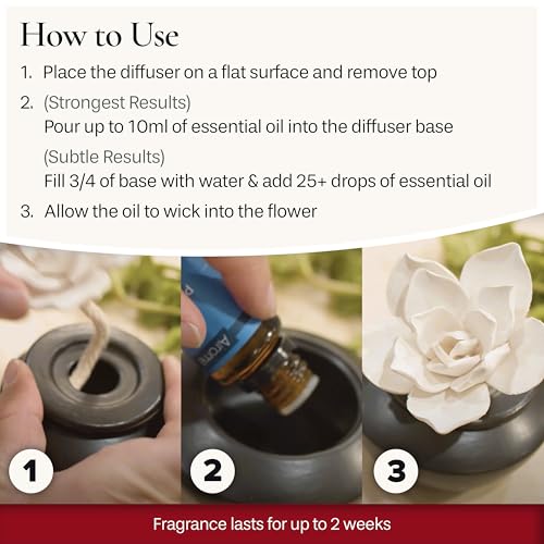 Airomé White Succulent, Porcelain Passive Essential Oil Diffuser (with 15ml Peppermint Essential Oil) – Non-Electric, Batt...
