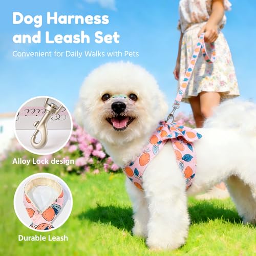 BAEJMJK Dog Harness and Leash Set with Bow Knot No Pull Pet Floral Harness with D-Ring Soft Mesh Dog Harness Vest Set Esca...