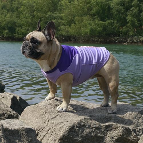 iChoue French Bulldog Summer Cooling Shirt for Dogs UV Sun Protection Vest Sleeveless Breathable Tank Top English Pug Purp...
