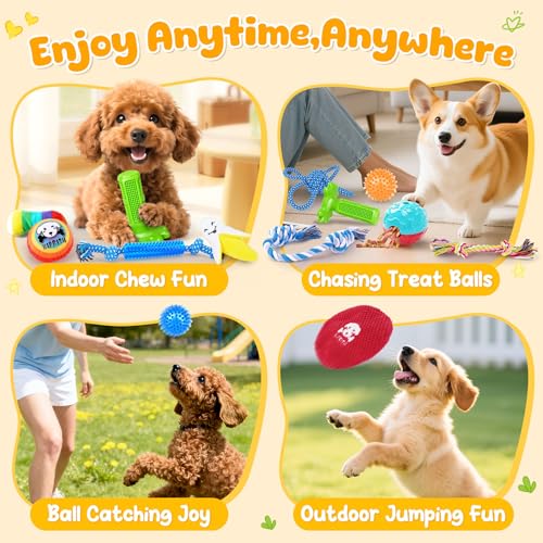 KIPRITII 25 Pack Dog Toys Set – Ideal for Teething, Entertainment & Interactive Play, Includes Puppy Toys, Rope Toys, Trea...