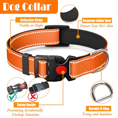 LOBEVE No Pull Dog Harness, Collar & Leash Set | Includes Dog Seat Belt, Collapsible Bowls & Poop Bag Dispenser. Ideal for...
