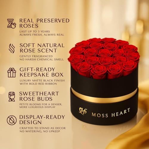 Moss Heart 20 Mini Preserved Roses, Round Luxury Gift Box, Real Forever Roses Last 1+ Year, Premium Romantic Gift for Wome...