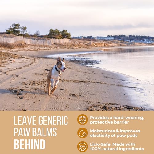 Rhino Wax - Dog Paw Beach Wax 2oz - Protects Against Sharp Rocks, Hot Sand, Glass, Coral, or Other Hazards at Beaches - Mo...