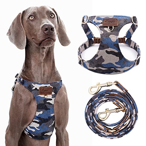 Dog Harness, No Pull Dogs Harness and Multi-Function Leash Set for Medium Dogs Easy Walk Everyday Adjustable Soft Dog Vest...