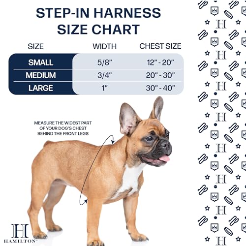 Hamilton Adjustable Comfort Nylon Dog Harness, Teal, 3/4" x 20-30"