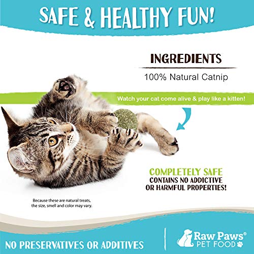 Raw Paws Catnip Balls for Cats, (6-Count) - Interactive Cat Toy for Indoor Cats - Cat Nip Licking Balls