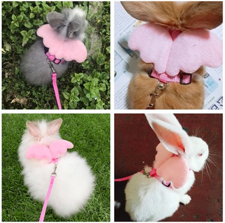 Hypeety Rabbit Harness and Leash Set Escape Proof - Adjustable Bunny Vest Harness for Rabbits with Cute Angel Wings Design...