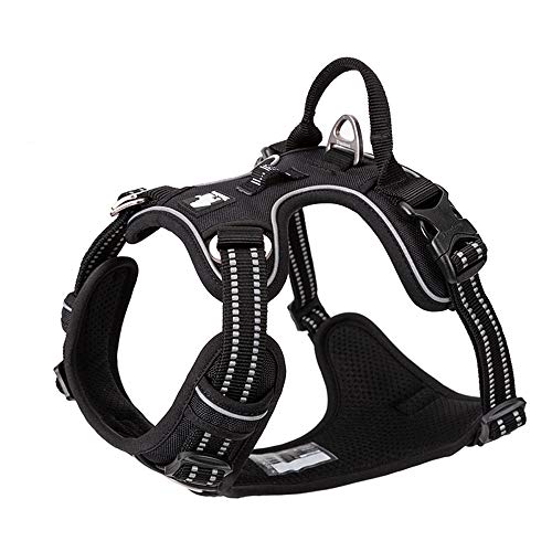 TRUE LOVE Dog Harness No Pull Nylon Reflective Pet Harness Adjustable Comfortable Control Step-in Brilliant Colors Truelov...