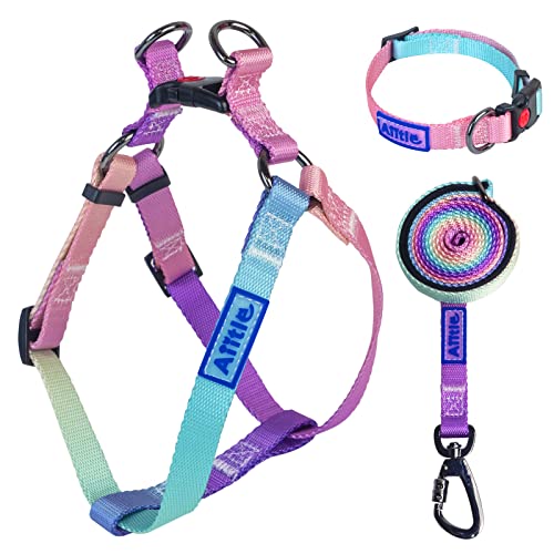 AIITLE No Pull Dog Harness & Leash & Collar - Adjustable Basic Collar with A Heavy Duty Leash - Super Sturdy Buckle and D ...