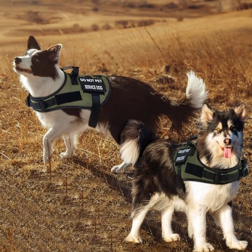 No Pull Dog Harness Small Medium Sized Dog, Service Dog Harness and Leash Set with 4 Patches, Adjustable Easy Walk Dogs Ha...