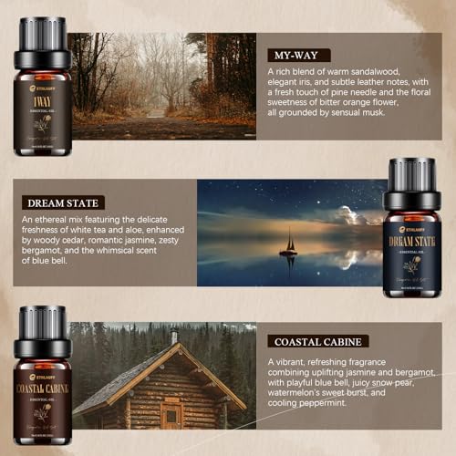 Hotel Diffuser Oils, Hotel Collection Diffuser Oil, Luxury Essential Oil for Diffuser, Soap & Candle Making Scents - 1 Wa...