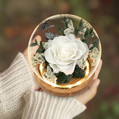 Regalo Flor Preserved Roses & Preserved Flowers Gift for Women, Roses that Last Forever, Flowers for Delivery Prime, White...