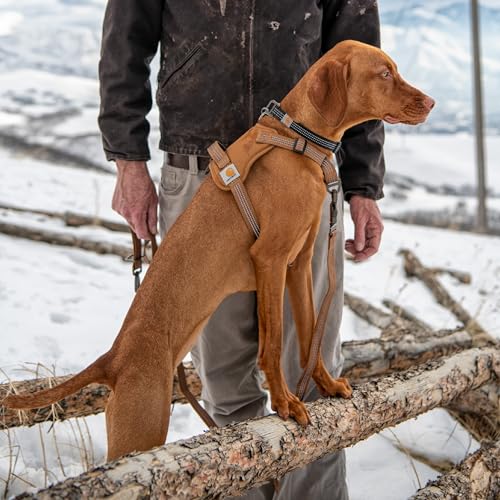 Carhartt Nylon Duck No Pull Dog Harness, Fully Adjustable Dog Harness with Quick Control Handle and Reflective Accents, De...