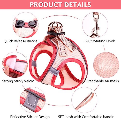 Betmaypet Cat Harness and Leash Set, Soft and Breathable Vest with Reflective Strip, Escape Proof Kitten Harness, Easy to ...