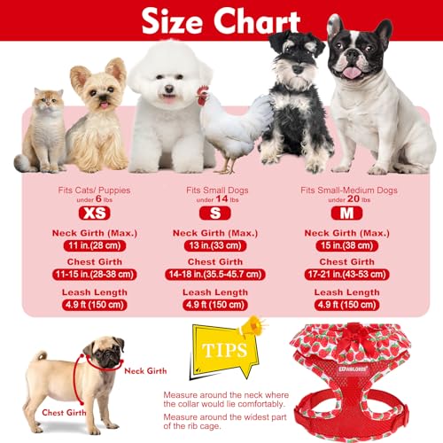EXPAWLORER Cute Dog Harness Collar Leash Set - Red Girl Dog Harness Checkered Step-in Design, Adjustable No-Choke Lightwei...