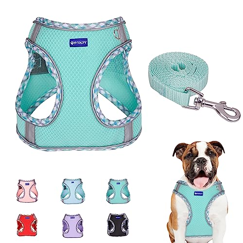 BTDCFY Step in Mesh Dog Harness and Leash Set - Breathable Air Mesh Reflective Escape Proof Vest - No Choke, Lightweight -...