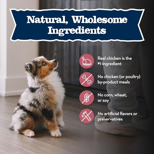 Blue Buffalo Baby Blue Natural Small Breed Puppy Dry Dog Food, Healthy Growth Formula with DHA, Chicken and Oatmeal Recip...