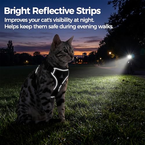 pangdi Cat Harness and Leash Set Escape Proof Tactical Extra Large Kitten Harness Emotional Support Cat Vest, Grey, XL