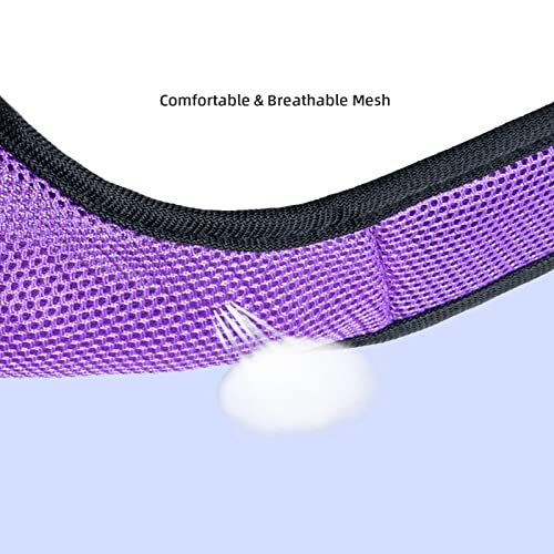 Niteangel Adjustable Soft Harness with Elastic Leash for Rabbits (XL, Purple)