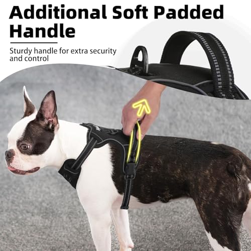 PUPTECK No Pull Dog Harness Small Sized, Adjustable Reflective Dog Harness with Handle Easy Control, Comfortable Soft Padd...