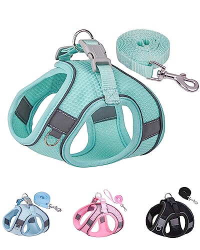 Solmoony Dog Harness for Small Medium Dogs No Pull, Puppy Harness and Leash Set, mesh Dog Harness. (Green, XS)