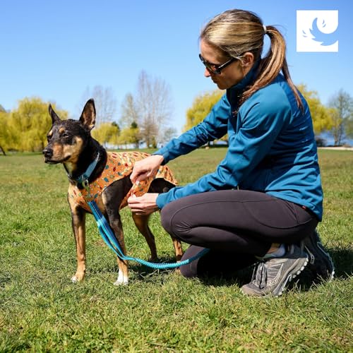 RC Pet Products Zephyr Cooling Vest, Extra Extra Small, Aqua (XX-Small, Aqua)