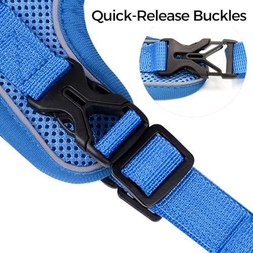 Tiagoboo Cat Harness and Leash Set,Escape Proof Adjustable Soft Lightweight Kittens Vest Harnesses with Reflective Strips ...