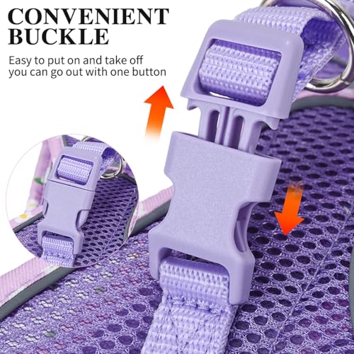 Petank Dog Harness for Small Medium Dogs No Pull, Puppy Harness and Leash Set, Mesh Adjustable Breathable Light Vest for W...