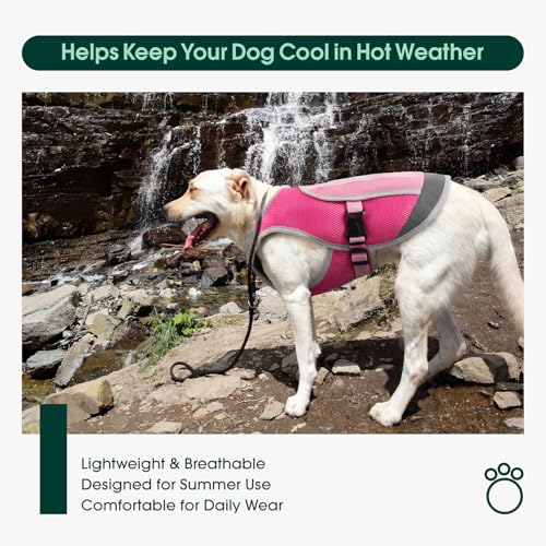 Kuoser Dog Cooling Vest for Dogs, Lightweight Dog Cooling Harness Shirt with Reflective Stripe, Breathable Mesh Cooler Jac...